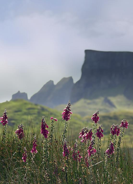 Home Farm Apartments Portree Esterno foto